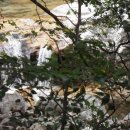 반야봉산장 이미지