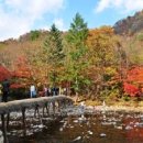 선재길식당 이미지