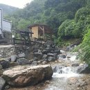 화이트 밸리 이미지