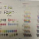 나만의 퍼스널컬러 진단 | 동탄 주니크컬러 퍼스널 컬러 &amp; 체형 진단 내돈내산 후기: 나만의 '착붙' 스타일 찾기!