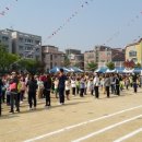 본오 초등학교 이미지