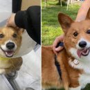 개스타하우스 이미지