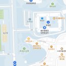 트롯콘서트 | 미스터트롯3 수원콘서트 후기(+경희대 주차 팁)