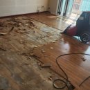 성우수지 이미지