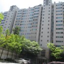 정든한약국 네이버블로그