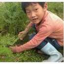 찬우농장 이미지