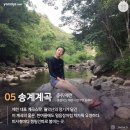명당 이미지