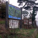 함안 명관리 공룡발자국 이미지