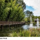 영광카타운 네이버블로그