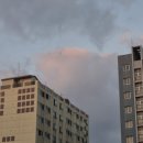 군포산업진흥원 1층 | 제주콘텐츠진흥원 도민리뷰단 제16회 제주프랑스영화제 개막작 [디베르티멘토] 후기