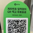 애리속눈썹