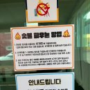 원21 | [가평 펜션 추천] 주말 10만 원대 역대급 독채 가성비! '밸리21' 개별 바비큐 솔직후기 🏡✨