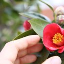 동피랑길 이미지