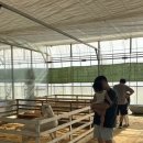 채희농장 이미지