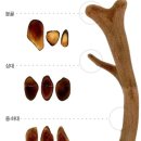 북서울한의원 이미지