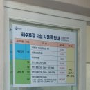 대전해수욕장1 | 영덕 놀거리, 대진해수욕장(`25년 개장/운영 일정, 맨손조개/백합잡기 체험)
