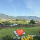 산내할인마트 | 아리송로이와 함께한 마당대여! 밀양 산내마당