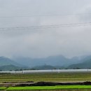 어제의 그림 오늘의 인문학 이미지