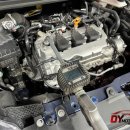 DY모터스 이미지