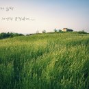 바람이분다 이미지