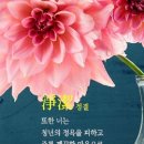 정결 - 강동구 | 정결