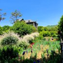 숨은진주 이미지