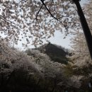 소월어린이집 이미지