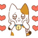 홍수계찜닭엔터식스 이미지