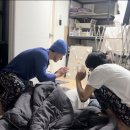 지니민박 이미지