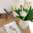 성수셀프사진관 추천 ‘하우알유두잉 성수점’ 셀프프로필 리터칭 후기📸