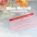 퇴계로 L 이미지