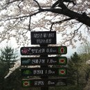 대발령 1쉼터 이미지