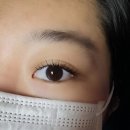 어반센터프라자 | 봉담 속눈썹펌 속눈썹연장 비비라인 마스카라연장 추천후기