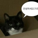 블룸프로젝트 네이버블로그