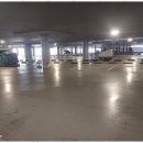 성일(아) 이미지