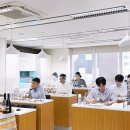 리버벨리 이미지