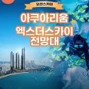금곡국제여행사 이미지