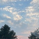 대정맑은해수사우나 이미지