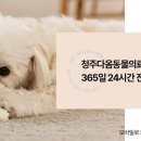 오창동물병원 이미지