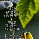 금빛시간 이미지