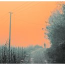 용호근린공원 | ≪전주국제영화제≫ 『시인의 마음』, 감독 천더밍//골목 상영/『양림동 소녀』, 『땅거미』, 『작별』