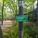 동대문구 치매안심센터 이미지