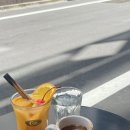 코이스 | 도쿄 신주쿠 에스프레소바 추천｜cois espresso club 후기