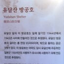 영산로 배롱나무길 | 여고동창생들과 함께한 남도여행중 진동운림산방과 우수영관광지와 목포해상케이블카 목포근대문화유산...