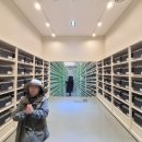 백두대간지구 이미지