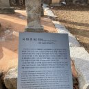 엄마곰탕 이미지