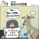 호주 - 서초구 | 호주