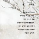 버드리품바시리즈 이미지