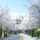 비발디푸드트럭 이미지