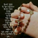중2동-25 이미지